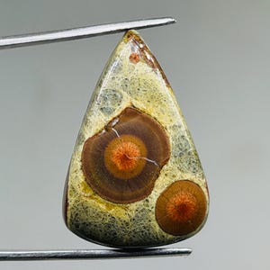 May include: A teardrop-shaped gemstone with a distinctive pattern. The stone has a light green and tan base colour with two prominent brown and orange circular patterns. The gemstone is held by metal tweezers, highlighting its polished surface.