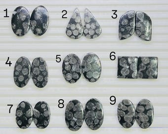 Par de cabujón de coral fósil negro 100% natural / Piedras con patrones únicos para la elaboración de joyas