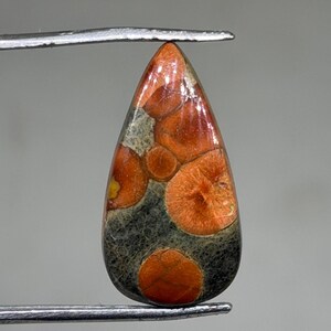 May include: A teardrop-shaped gemstone with a mix of colours. The stone features a pattern of orange and reddish-brown circular shapes against a dark grey and tan background. Held by a metal tool.