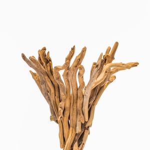 Puede incluir: Una colecci&oacute;n de piezas de madera flotante de color marr&oacute;n claro y desgastadas, dispuestas en un grupo vertical en forma de abanico. Las ramas individuales var&iacute;an en grosor y longitud, con texturas org&aacute;nicas suaves y nudos naturales visibles.