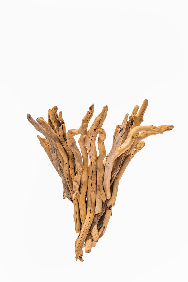 Puede incluir: Una colecci&oacute;n de piezas de madera flotante de color marr&oacute;n claro y desgastadas, dispuestas en un grupo vertical en forma de abanico. Las ramas individuales var&iacute;an en grosor y longitud, con texturas org&aacute;nicas suaves y nudos naturales visibles.