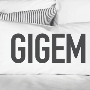 Aggies, College dorm pillow, College dorm decor, dorm decor pillow, college decor, college room decor, college pillow, graduation g