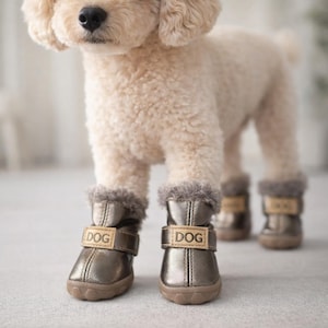 May include: Metallic gold dog boots with faux fur trim and a brown sole. Each boot has a strap with the word "DOG" printed on it. The boots are designed to protect a dog's paws.