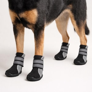 May include: Black and grey dog boots with a reflective strap. The boots feature a mesh design and are secured with a hook-and-loop closure. The dog's legs are visible, with black and tan fur.