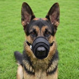 Può includere: Una museruola per cani in rete nera con cinghie regolabili e un pannello frontale rinforzato, progettata per adattarsi saldamente attorno al muso di un pastore tedesco, con una struttura in tessuto traspirante e una piccola etichetta bianca.