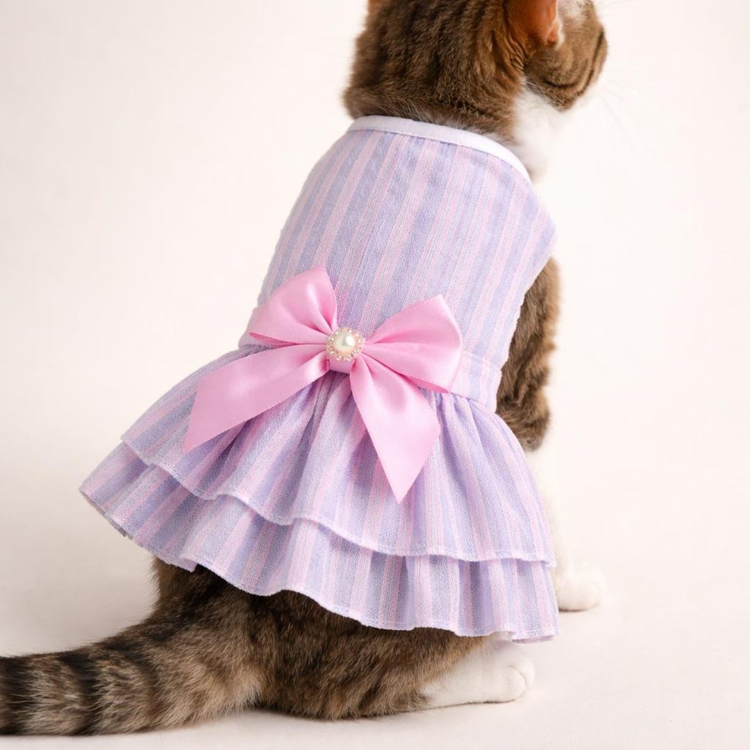 cat dress design Little Princess Cat Dress