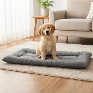 May include: A golden retriever puppy sits on a gray rectangular dog bed. The bed has a quilted design and is placed on a light-colored rug. A couch and side table are in the background.