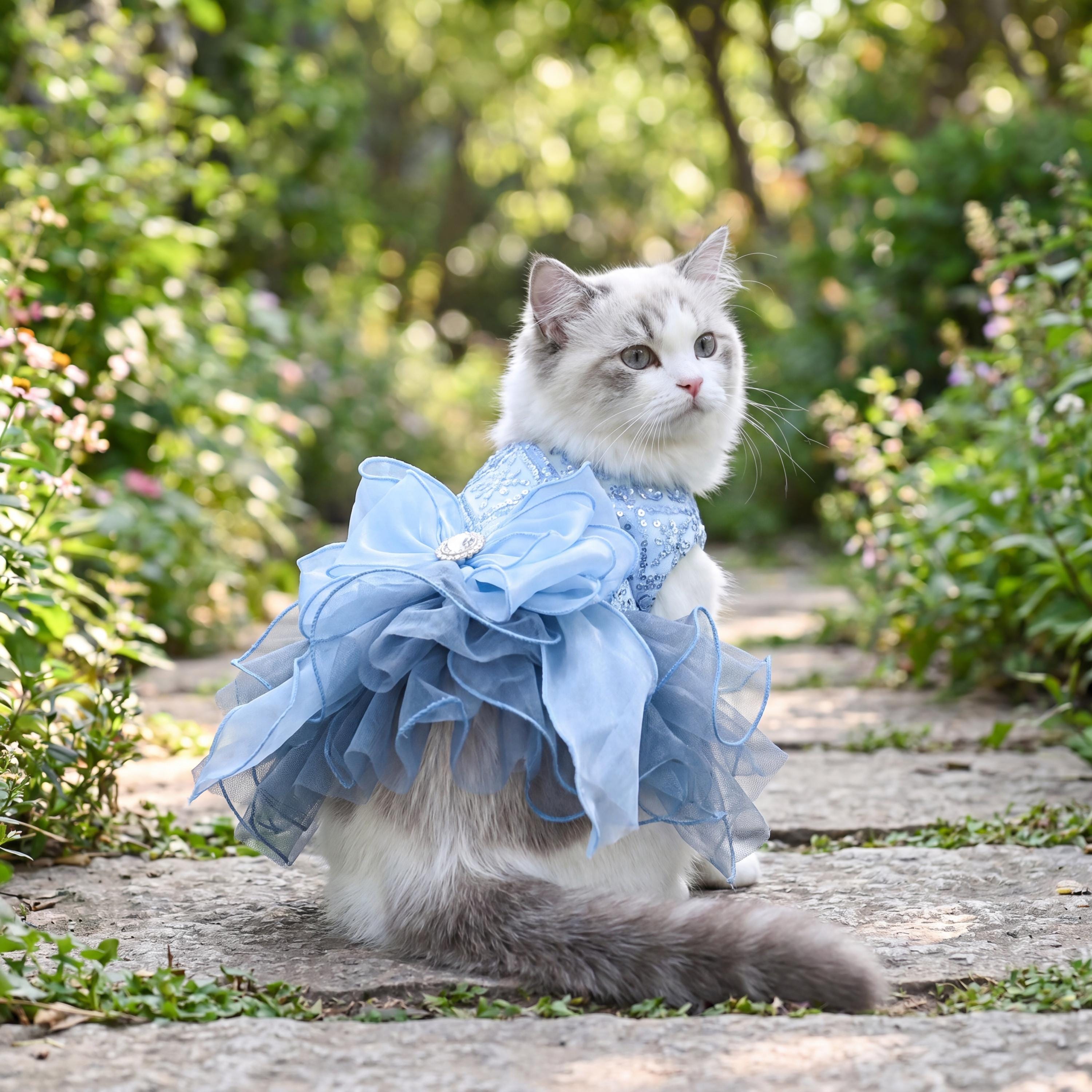 formal cat dress Blue Cat Dress – Meowden®