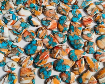 Spiny Oyster Copper Turquoise Good Quality Cabochon Free form Mix Shape Loose Gemstone supplier Whole Sale Lot