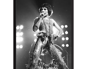 Impression photo vintage Freddie Mercury : affiche de musique rock