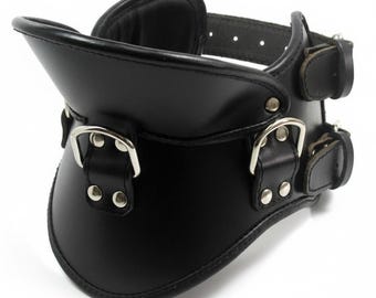 Padded Leather Posture Collar with D-Rings