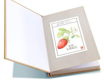 Bookplates with Original Fruit and Vegetable Art; Reproduced Watercolors in Set of 20 Bookplates; Booklover Gift