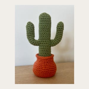 Easy Saguaro Cactus Crochet Pattern
