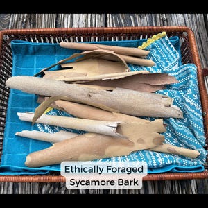SYCAMORE BARK: 4 oz LONG sheets of naturally shed tree bark | Ethically foraged | Clean & dry | Crafts Terrarium Fairy House Wedding