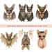 Whimsical Halloween Bat Clipart Bundle: Watercolor Floral Bow PNG ...