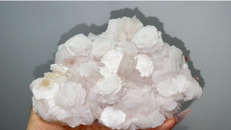 May include: A cluster of white barite crystals featuring a distinct rose-like formation. The mineral specimen displays numerous layered, petal-shaped crystal blades that radiate from central points, creating a textured, floral-like appearance.