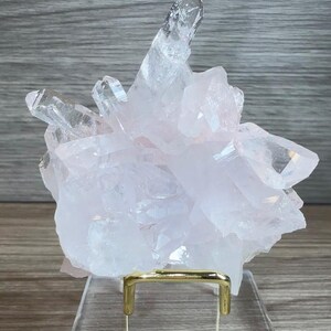 May include: A pale pink rose quartz crystal cluster with multiple translucent, pointed terminations. The mineral specimen is securely held by a polished gold-toned metal stand, which is mounted on a clear, rectangular acrylic base for display.
