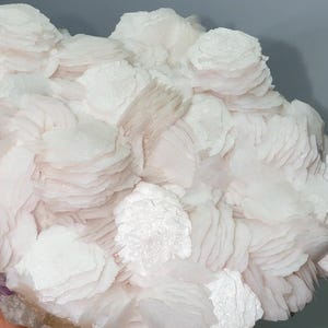 May include: A cluster of white, translucent mineral crystals featuring a layered, rose-like formation. The specimen displays numerous thin, plate-like structures stacked together, creating a textured, petal-like appearance with a soft, pearlescent sheen.