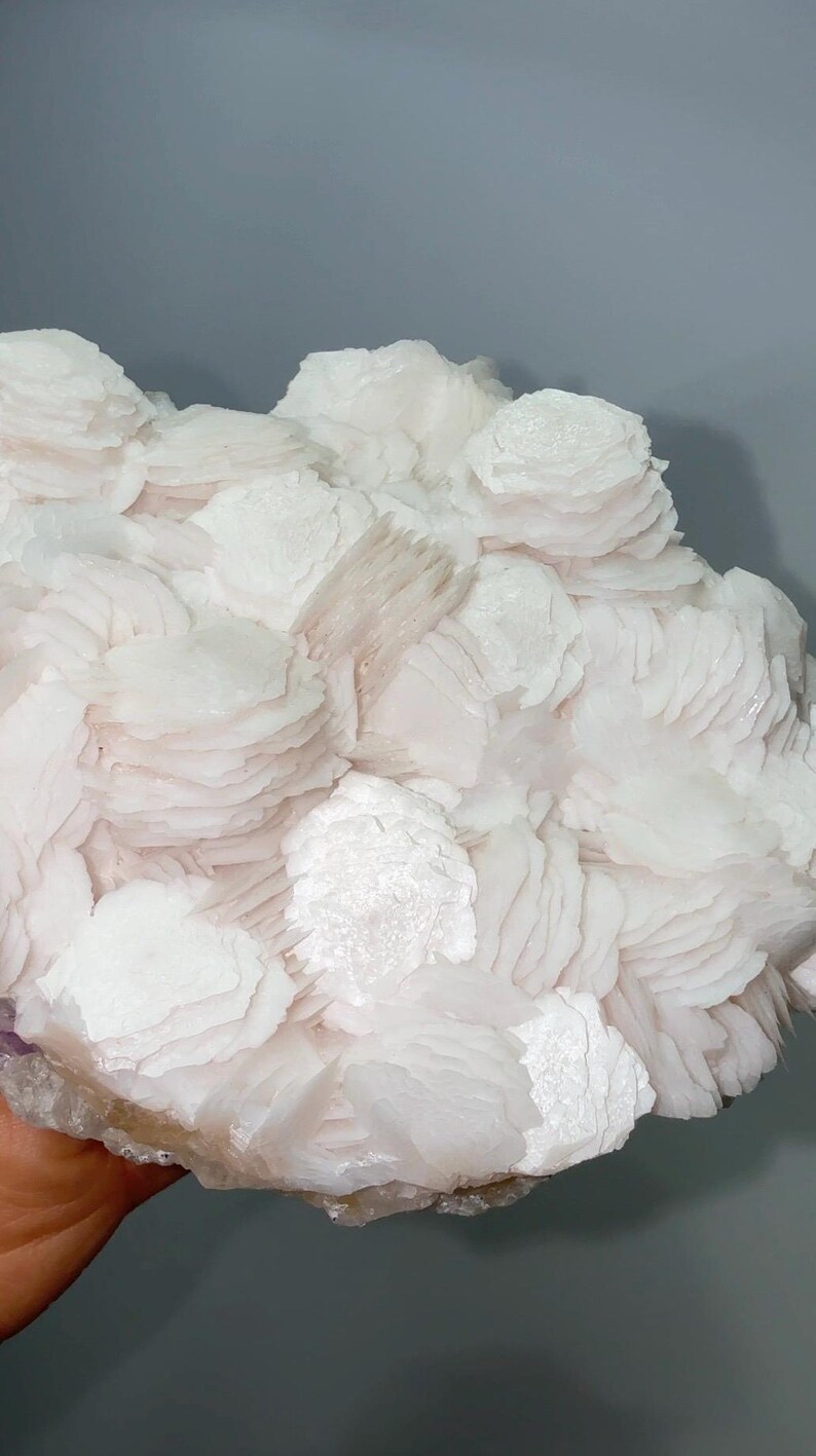May include: A cluster of white, translucent mineral crystals featuring a layered, rose-like formation. The specimen displays numerous thin, plate-like structures stacked together, creating a textured, petal-like appearance with a soft, pearlescent sheen.