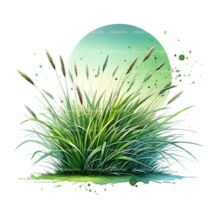 Watercolor Wild Grass Clipart: Meadow PNG Bundle (Digital Download)