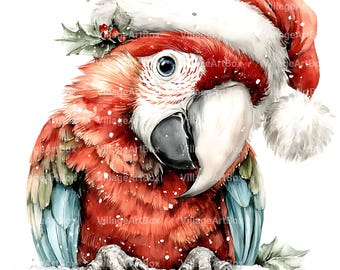 クリスマスのオウムのクリップアート8点、クリスマスキャロルを歌う鳥