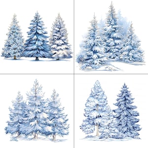 Watercolor Winter Spruce Tree Clipart: Blue Christmas PNG (Instant Download)
