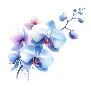 Watercolor Orchid Clipart Bundle: Floral PNG Images (Digital Download