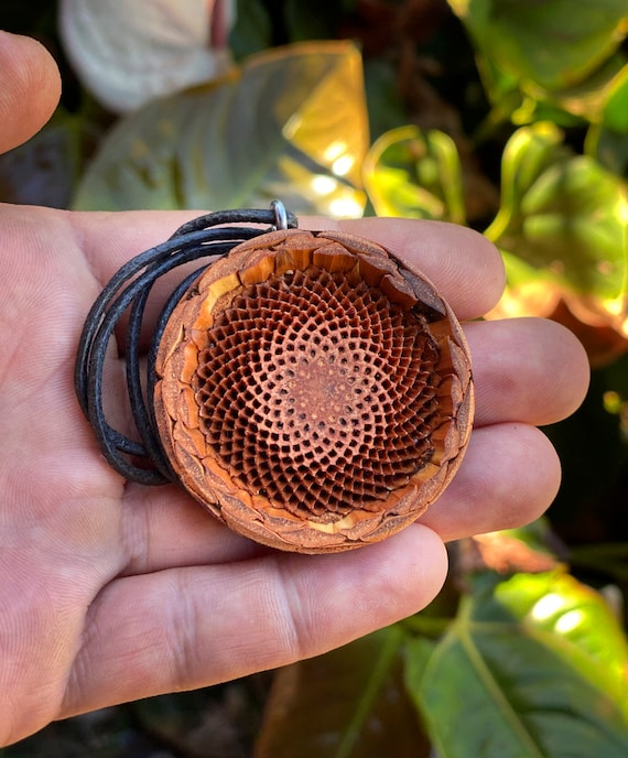 Protea Pod Necklace Pendant Flower of Life Natural Jewelry Simple
