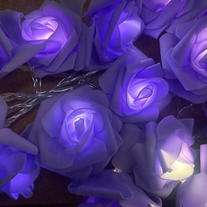May include: A close-up of a string of lavender-coloured rose-shaped lights. Each rose has a soft, glowing centre, creating a warm ambiance. The lights are strung together with a silver wire, ideal for decorative use.