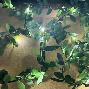 Puede incluir: Una guirnalda de hojas verdes con pequeñas luces LED blancas cálidas. Las hojas son de color verde oscuro y están dispuestas a lo largo de un cable flexible. Las luces están espaciadas uniformemente, creando un brillo suave y ambiental. Ideal para la decoración del hogar.