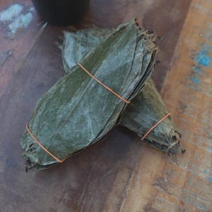 Organic Premium Grade A++ Soursop Leaves / Guanabana / Graviola / Annona Muricata / Guay