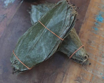 Può includere: Due mazzi di foglie verdi, fissati con elastici arancioni, poggiano su una superficie di legno. Un piccolo vaso nero con erba artificiale verde è sullo sfondo. Le foglie hanno un aspetto naturale e organico.