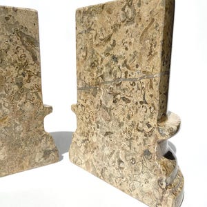 Puede incluir: Un par de sujetalibros hechos de piedra fosil&iacute;fera de color tostado y marr&oacute;n. Cada pieza presenta una secci&oacute;n vertical rectangular con una base curva y un patr&oacute;n natural distintivo de fragmentos f&oacute;siles incrustados en la superficie pulida.