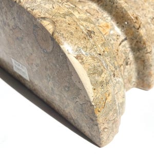 Puede incluir: Un sujetalibros semicircular pulido hecho de piedra fosil&iacute;fera en tonos beige y bronceado. La superficie presenta un patr&oacute;n natural complejo de formas org&aacute;nicas incrustadas e inclusiones minerales. Una etiqueta blanca indica Made in Pakistan.