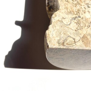 Puede incluir: Un objeto de piedra pulida con una superficie moteada en tonos beige y bronceado que presenta inclusiones f&oacute;siles visibles. La pieza tiene un borde frontal curvo semicircular y un perfil lateral con muescas, mostrando una textura mineral.