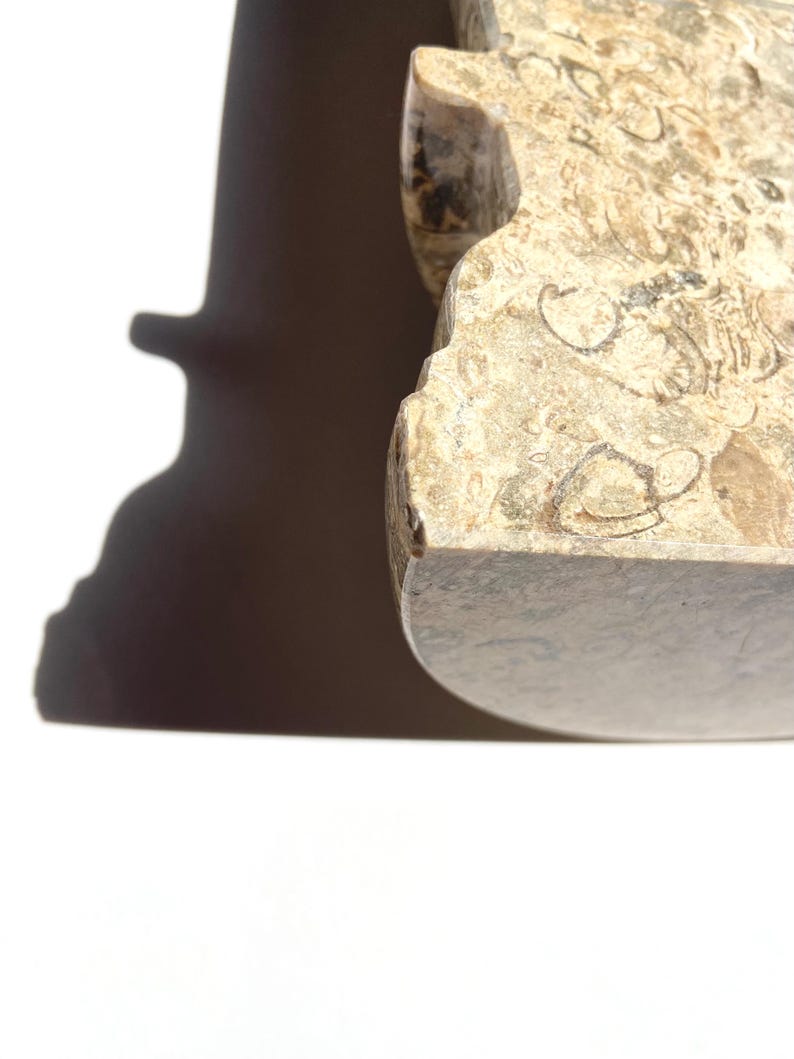 Puede incluir: Un objeto de piedra pulida con una superficie moteada en tonos beige y bronceado que presenta inclusiones f&oacute;siles visibles. La pieza tiene un borde frontal curvo semicircular y un perfil lateral con muescas, mostrando una textura mineral.