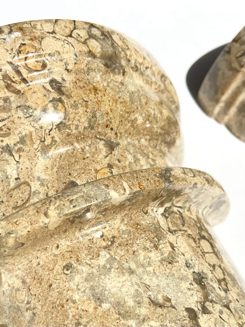 Puede incluir: Un objeto de piedra f&oacute;sil pulida en tonos beige y tostado con una superficie lisa y moteada que presenta inclusiones org&aacute;nicas y fragmentos de conchas visibles. El objeto tiene un borde redondeado y ensanchado y un cuerpo cil&iacute;ndrico brillante.