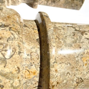 Puede incluir: Un objeto de piedra pulida en tonos beige y ocre con un patr&oacute;n denso y moteado de fragmentos de conchas fosilizadas incrustadas. La forma cil&iacute;ndrica incluye un prominente borde circular elevado alrededor del centro con acabado brillante.