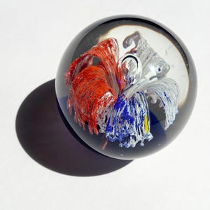 May include: A clear glass paperweight with a spherical shape. Inside, there are abstract floral designs in red, blue, and white. The paperweight has a dark blue base and casts a shadow on a white surface.