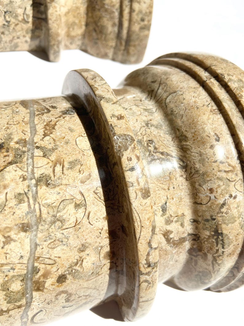 Puede incluir: Dos sujetalibros cil&iacute;ndricos hechos de piedra caliza fosil&iacute;fera beige pulida. La piedra presenta un patr&oacute;n denso y complejo de inclusiones org&aacute;nicas, conchas y vetas minerales de color marr&oacute;n claro, con un acabado suave y brillante.