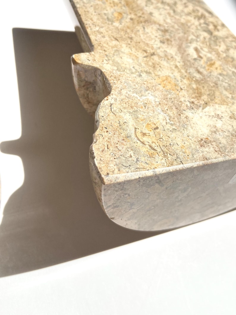 Puede incluir: Un objeto de piedra pulida con una superficie moteada en tonos beige y bronceado que presenta inclusiones f&oacute;siles visibles. La pieza tiene un borde curvo y una muesca distintiva en el lateral, mostrando una textura densa y tonos naturales.