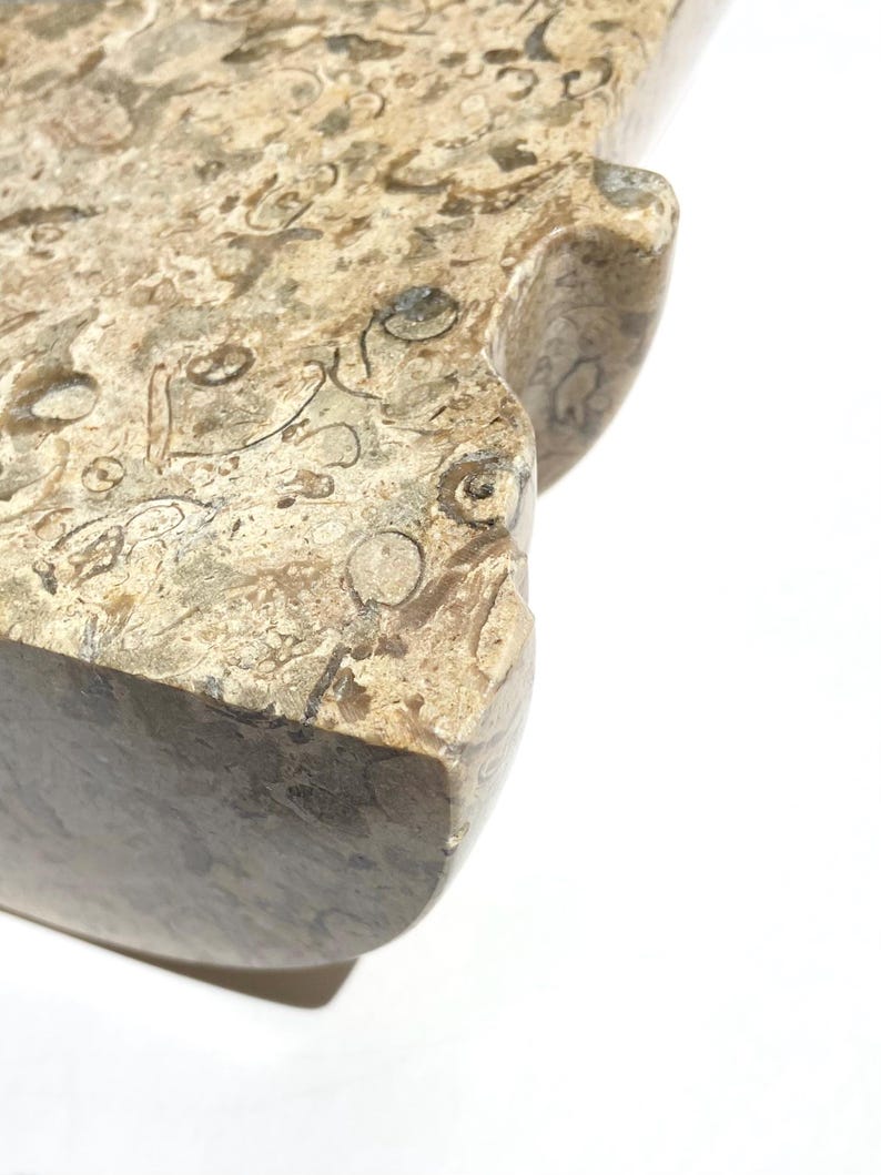 Puede incluir: Una losa de piedra pulida con un patr&oacute;n natural denso de conchas fosilizadas y restos org&aacute;nicos en tonos beige, bronceado y marr&oacute;n. La superficie es lisa con un acabado brillante, mostrando un borde curvo con una muesca distintiva.