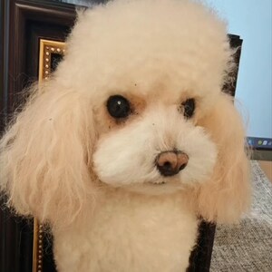 Custom Needle Felted Pet Replica Dog Replica Pet Memorial Pet Portrait Needle Felted Dog