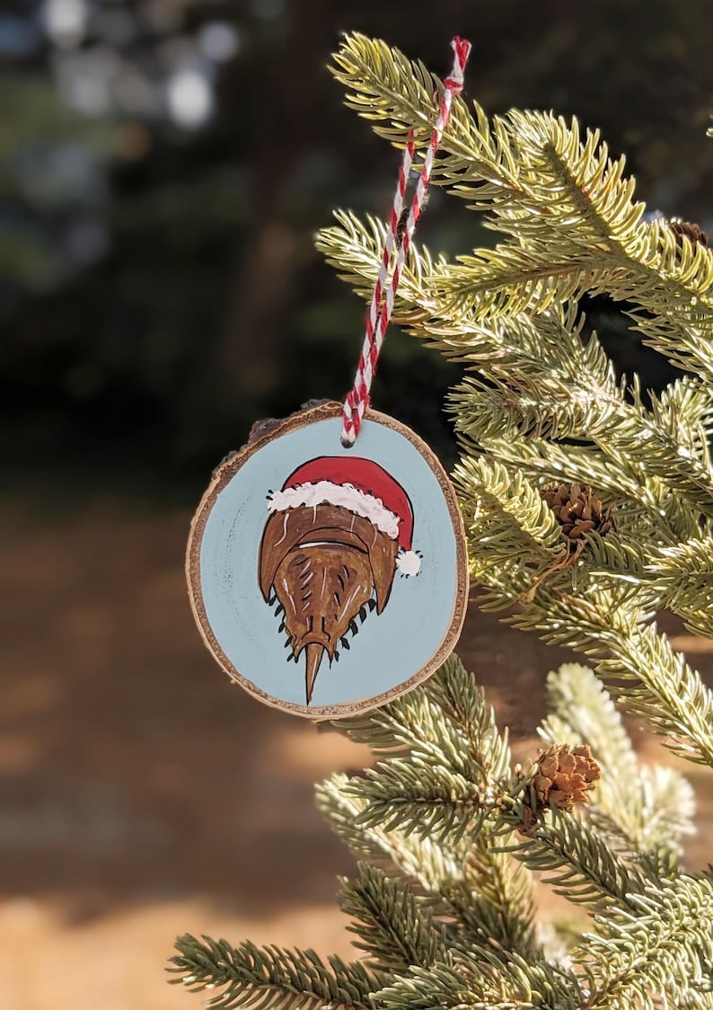 Horseshoe Crab Art, Hand Painted Christmas Ornament, Unique Holiday Decoration & Gift for Ocean Lovers image 1