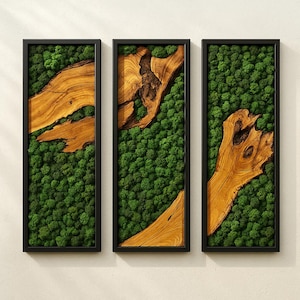 Triple Panel Moss & Olive Wood Wall Art: Modern Live Edge Decor