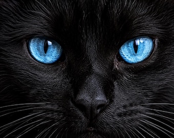 青い目の黒猫の肖像画｜ゴシック調動物アート（デジタルダウンロード）