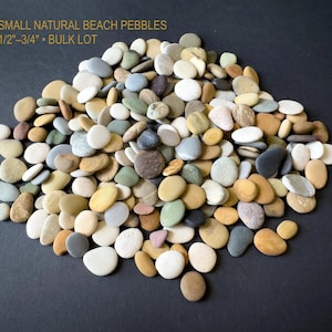 Ciottoli da spiaggia piccoli sfusi per artigianato - Pietre colorate naturali da 1/2" a 3/4" per mosaico, progetti fai da te e creazione di gioielli, spedizione tracciata negli Stati Uniti