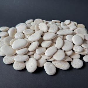 Piedras de playa blancas a granel / Lote de 20–60 / Guijarros marinos naturales de 3/4&#39;&#39;–1 1/2&#39;&#39;