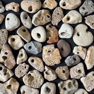 Può includere: Una collezione di pietre chiare di varie dimensioni, ognuna con un foro naturale. Le pietre variano per forma e consistenza, alcune lisce e altre ruvide. Lo sfondo è di un colore scuro e solido, creando contrasto.