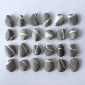 Puede incluir: Una colección de veintidós piedras grises con rayas blancas. Las piedras varían en forma y tamaño, con rayas blancas que recorren la superficie en varios patrones. Las piedras están dispuestas sobre un fondo blanco.